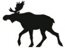 Логотип компании Лосев